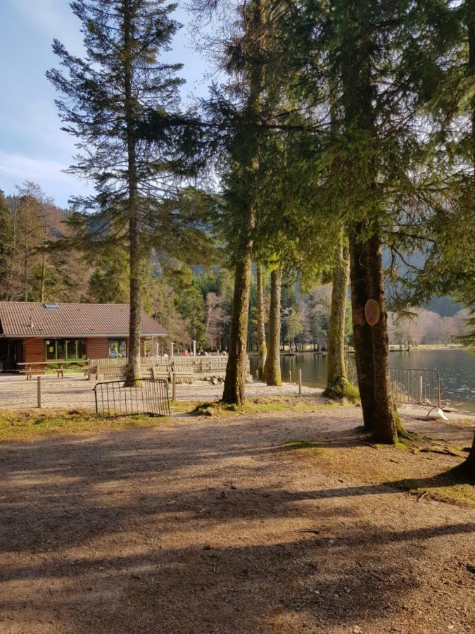 Apartamento A 2 pas du lac Xonrupt-Longemer Exterior foto