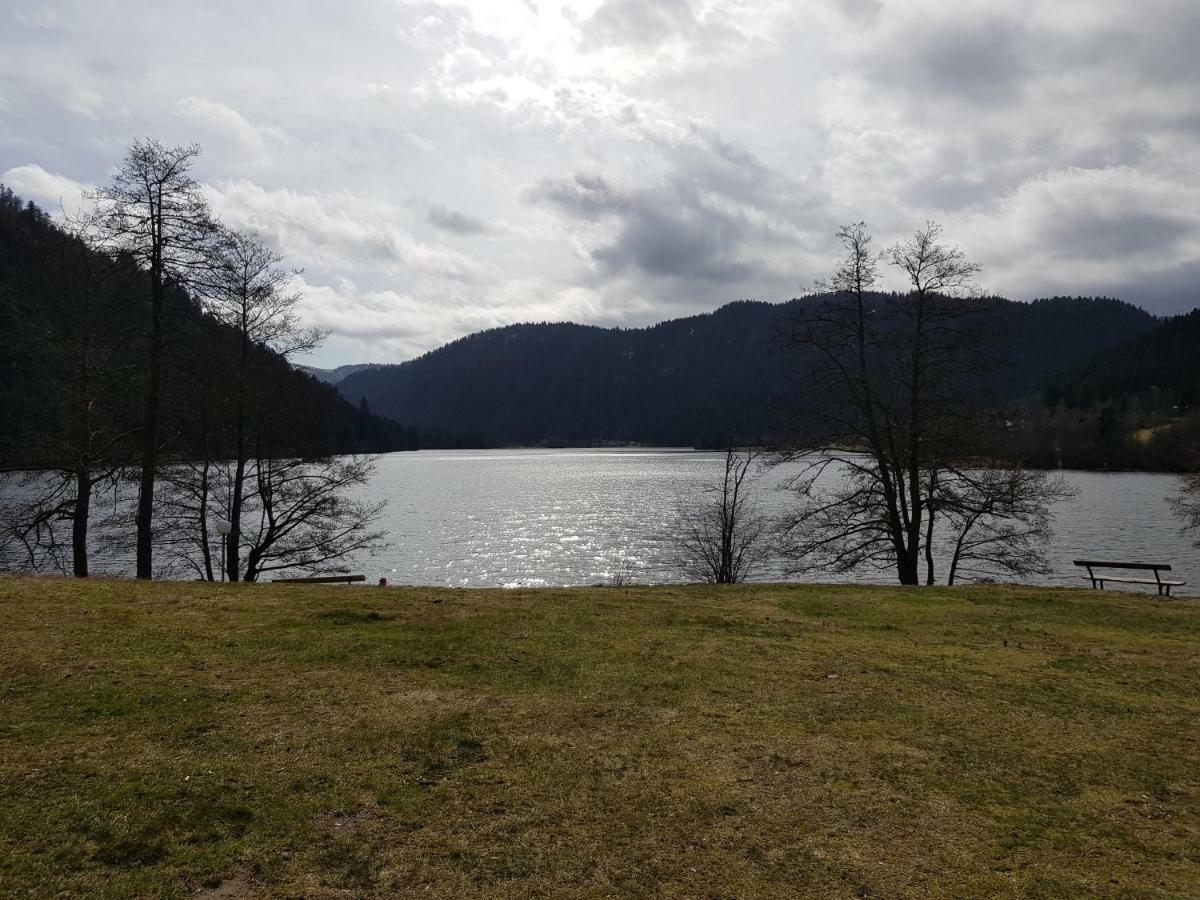 Apartamento A 2 pas du lac Xonrupt-Longemer Exterior foto