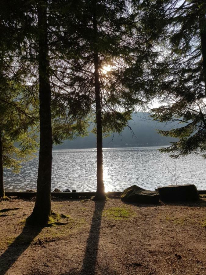 Apartamento A 2 pas du lac Xonrupt-Longemer Exterior foto